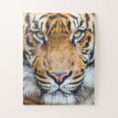 Search for tiger face puzzles Nature