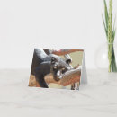 Search for black leopard cards Wild