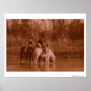 Search for raiders posters Western