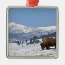 Search for wild christmas tree decorations Landscape