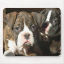 Search for brindle mousepads Boxer