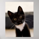 Search for cute camera posters Animal