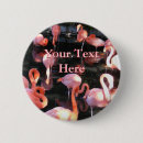 Search for flamingo badges Photography