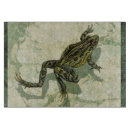 Search for frog cookware Nature