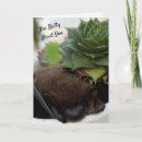 Search for cactus valentines day cards Succulent