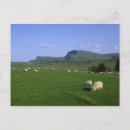 Search for quira postcards United kingdom