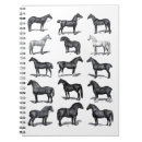 Search for horse teacher office school Dressage