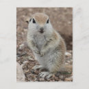 Search for baby tooth postcards Cute