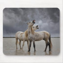 Search for horse ranch mousepads Stallion