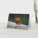 Search for robin birthday cards Nature