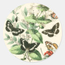 Search for butterfly and flower stickers Garden