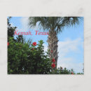Search for kemah Vacation