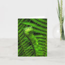 Search for fern cards Green