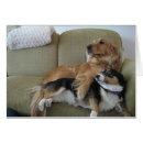 Search for cuddling cards Golden retriever