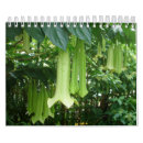 Search for tropical calendars Floral