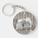 Search for keeshonds key rings Keeshonden