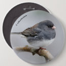 Search for pear tree badges Songbird