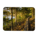 Search for walkway magnets Trail