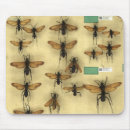Search for wasps electronics Insect