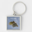 Search for flying square key rings Sky