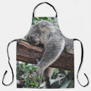 Search for koala aprons Nature