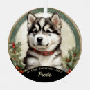 Search for alaskan malamute christmas tree decorations Puppy