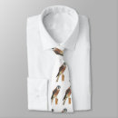 Search for falcone ties Bird of prey