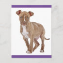 Search for pitbull thank you cards Thinking of you