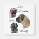 Search for mastiff magnets Old english mastiff