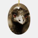 Search for ostrich christmas tree decorations Nature