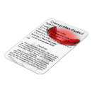 Search for recipe rectangular magnets Drink