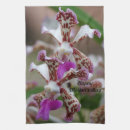 Search for vanda Flower