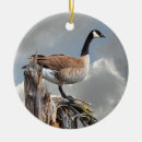 Search for goose christmas tree decorations Animals