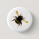 Search for pollination badges Insect