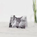 Search for belated birthday cards White