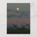 Search for moon postcards Desert