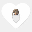 Search for dachshund heart stickers Wolf