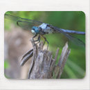 Search for green dragonfly mousepads Bug