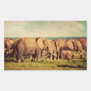 Search for cool elephants stickers Animals