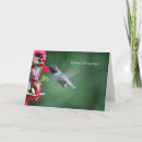 Search for hummingbird cards Beautiful