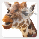 Search for meme faces stickers Giraffe