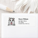 Search for siberian husky return address labels Cute