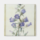 Search for medium magnets Flowers