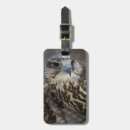 Search for falconry accessories Bird