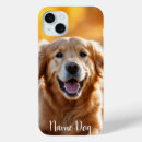Search for labrador retriever electronics Pet