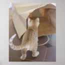 Search for rear view posters Standing
