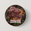 Search for starfish badges Sea star