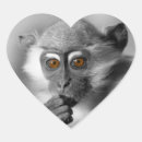 Search for monkey lover stickers Ape