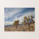 Search for joshua tree puzzles Cloud
