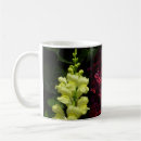 Search for fuschia drinkware Magenta